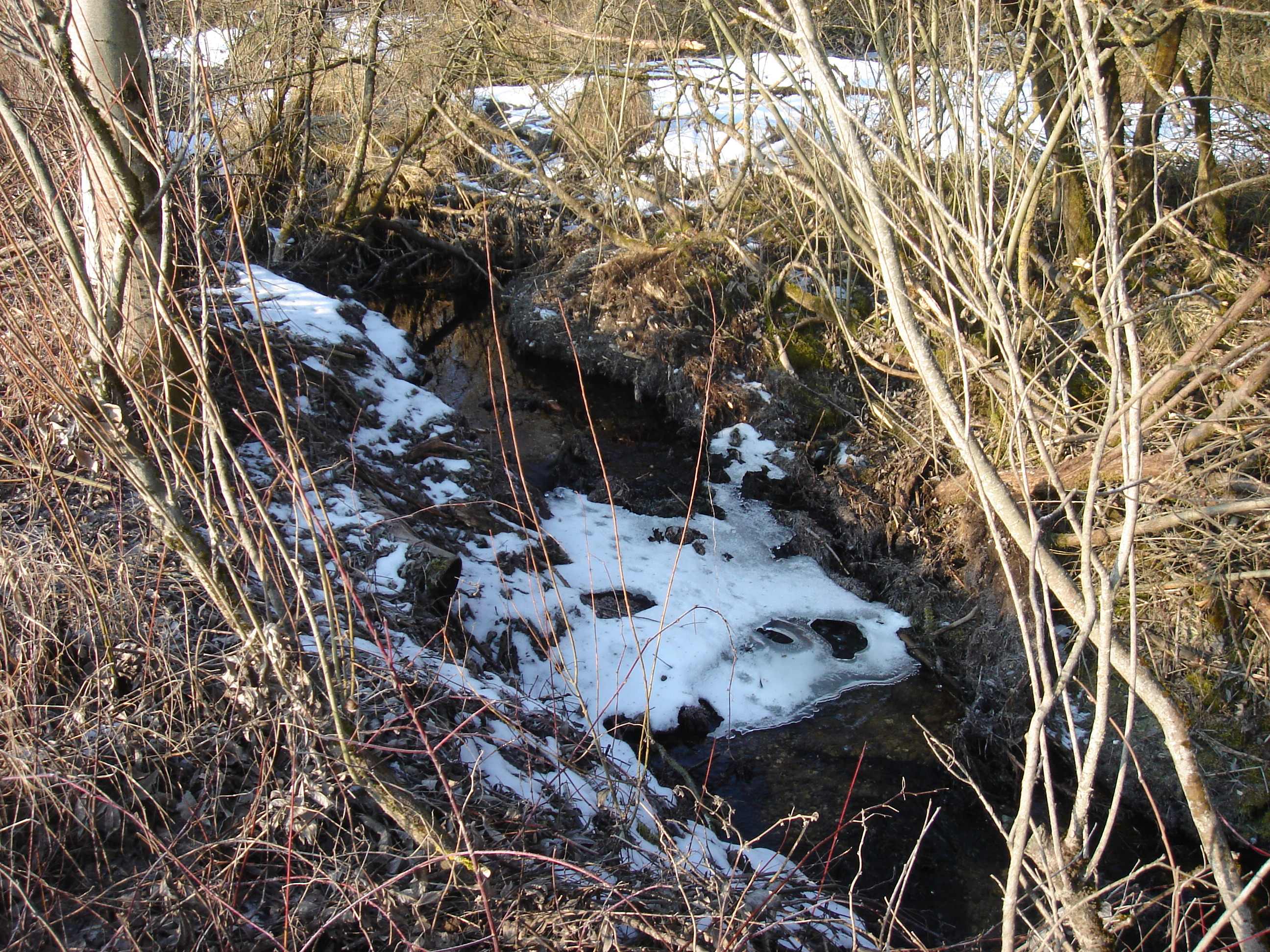 Wasserlauf im natülichen Zustand